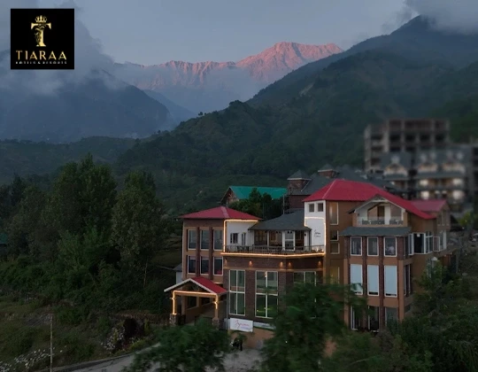 The Best Hotels in Dharamshala That Offer Stunning Mountain Views